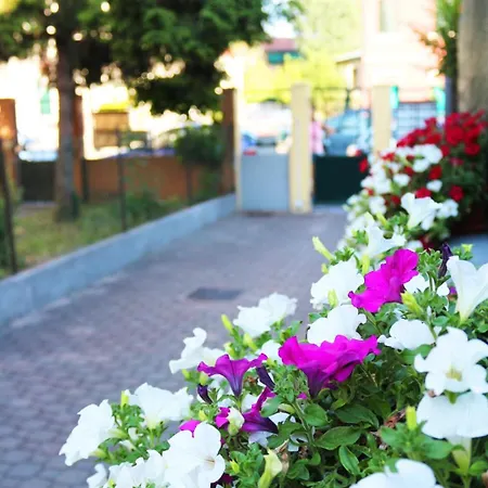 Lucky Flower *