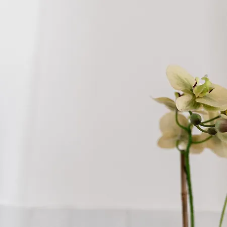 Lucky Flower Apartament
